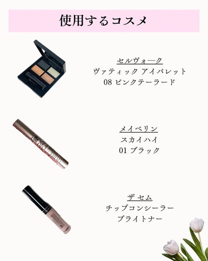 カバーパーフェクション チップコンシーラー/the SAEM/リキッドコンシーラーを使ったクチコミ(2枚目)