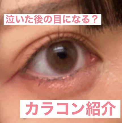 ビュームワンデー/ビューム/ワンデー(1DAY)カラコンを使ったクチコミ(1枚目)
