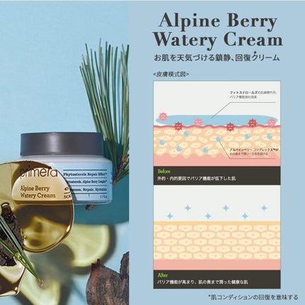 アルパインベリーウォータークリーム 50ml/primera/フェイスクリームを使ったクチコミ(3枚目)