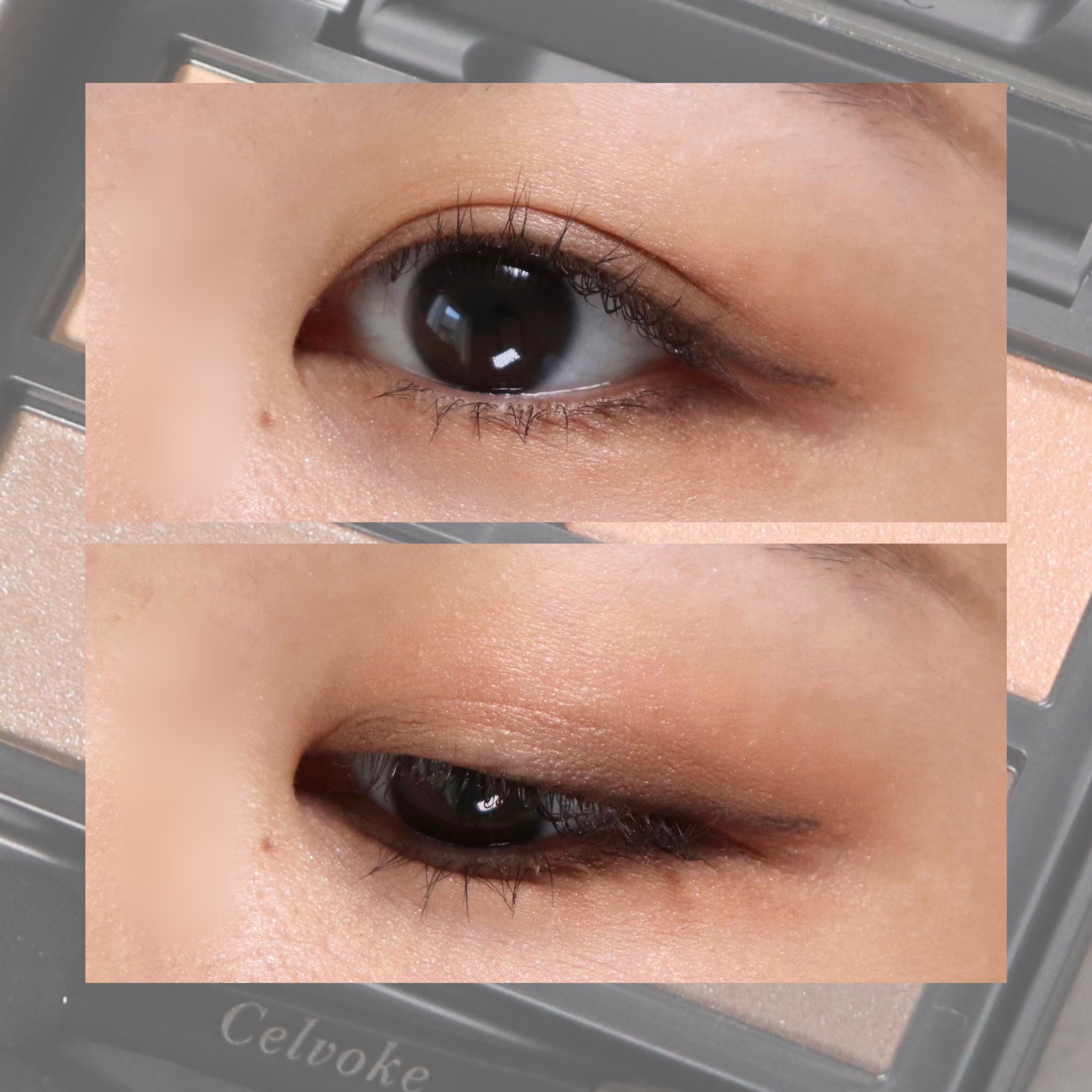 セルヴォーク ヴァティック アイパレット 09 タイムレスキャメル/Celvoke/アイシャドウパレットを使ったクチコミ（3枚目）