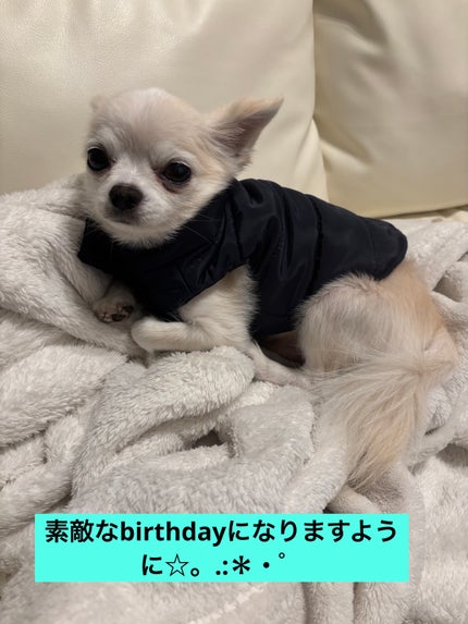 カラフルネイルズ/キャンメイク/マニキュアを使ったクチコミ(7枚目)