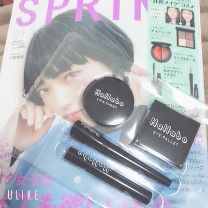 SPRiNG 2019年1月号/SPRiNG/雑誌を使ったクチコミ(1枚目)