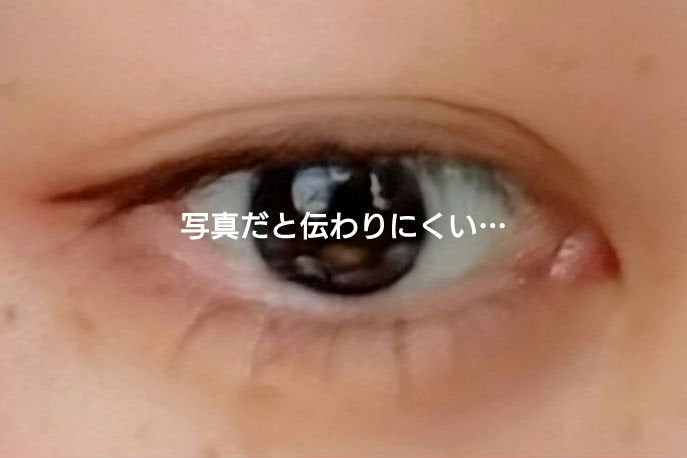 シルキースフレアイズ(マットタイプ)/キャンメイク/アイシャドウパレットを使ったクチコミ(4枚目)