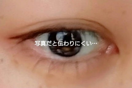 シルキースフレアイズ(マットタイプ)/キャンメイク/アイシャドウパレットを使ったクチコミ(4枚目)