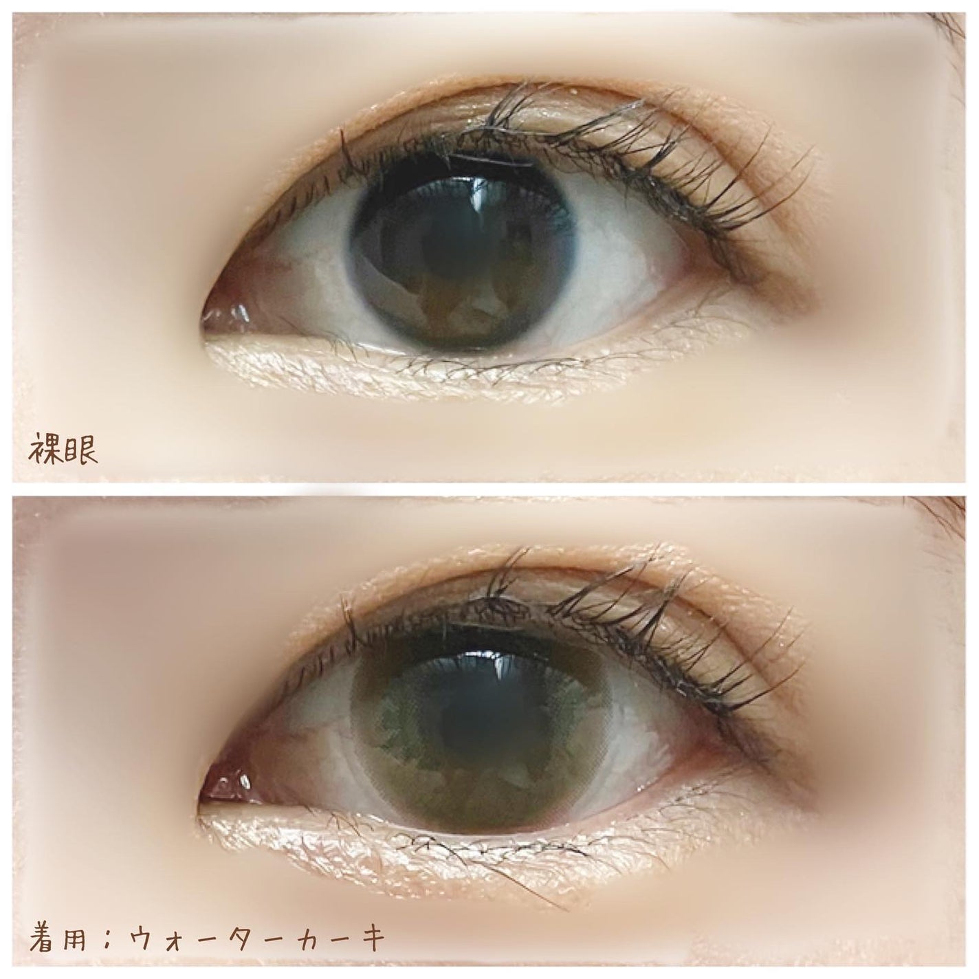 U.P.D. 1day/U.P.D./ワンデー(1DAY)カラコンを使ったクチコミ(2枚目)