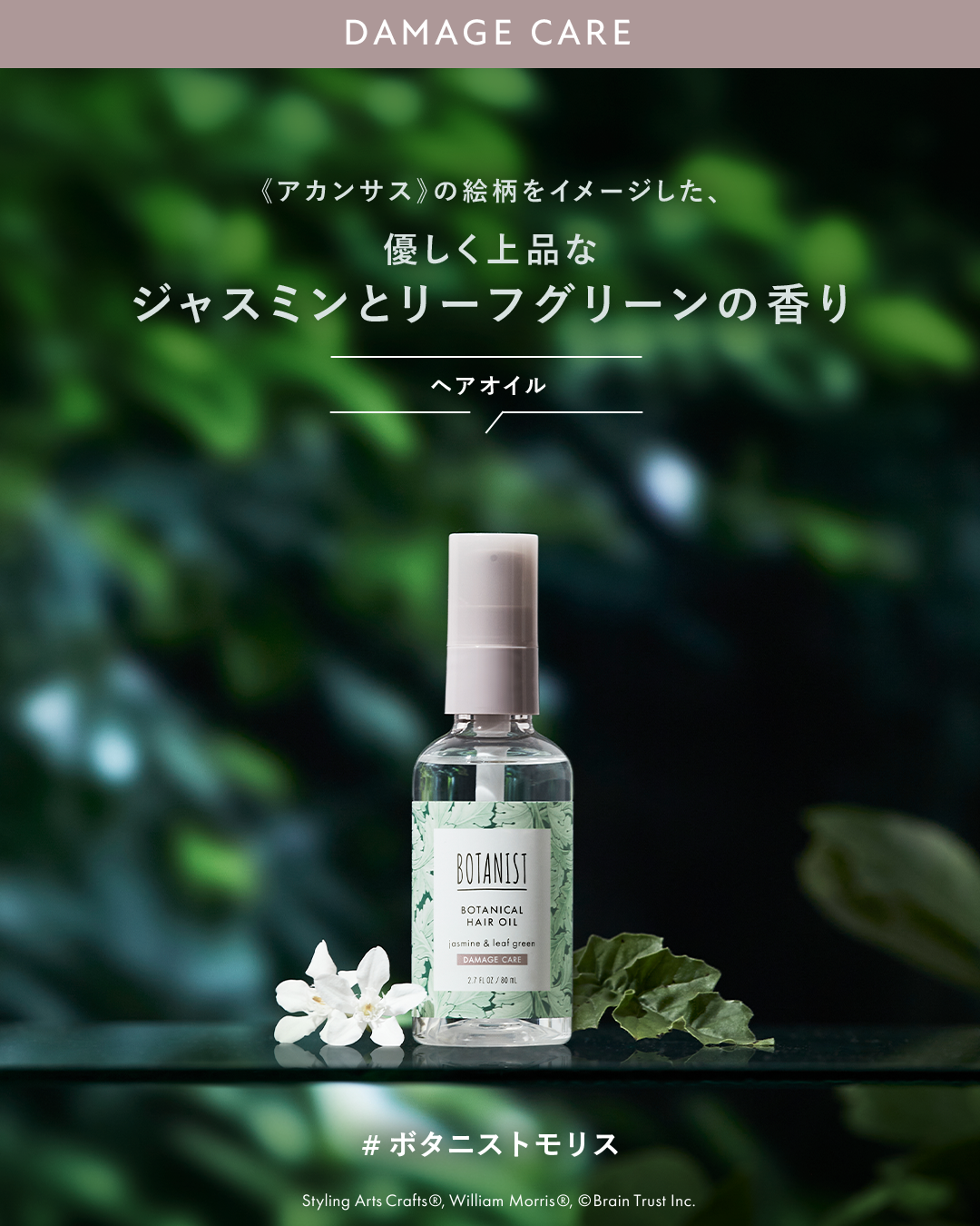 限定市販シャンプー】ボタニカルシャンプー/トリートメント モイスト