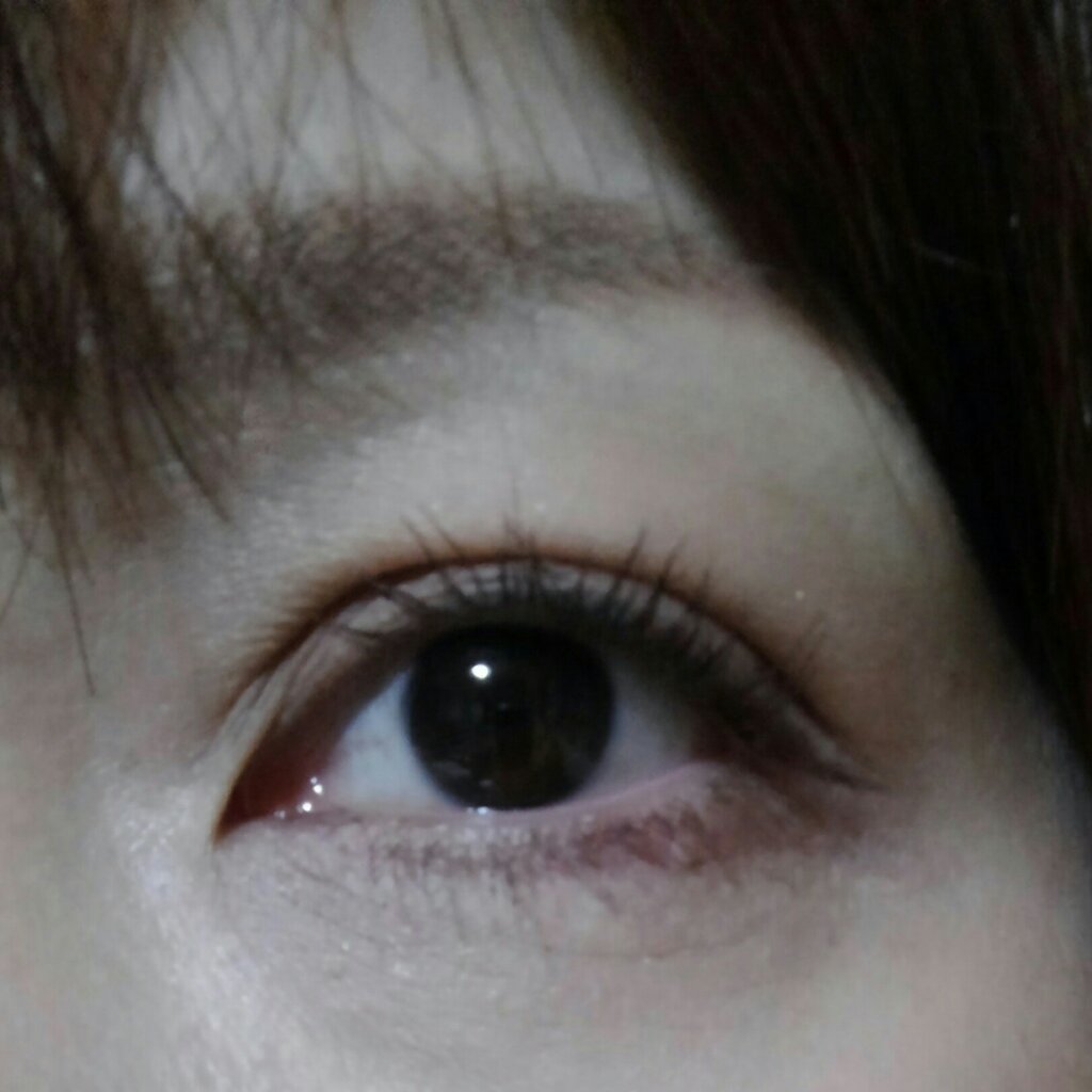 パーマネントカール マスカラ WP（ロング）/FASIO/マスカラを使ったクチコミ（2枚目）