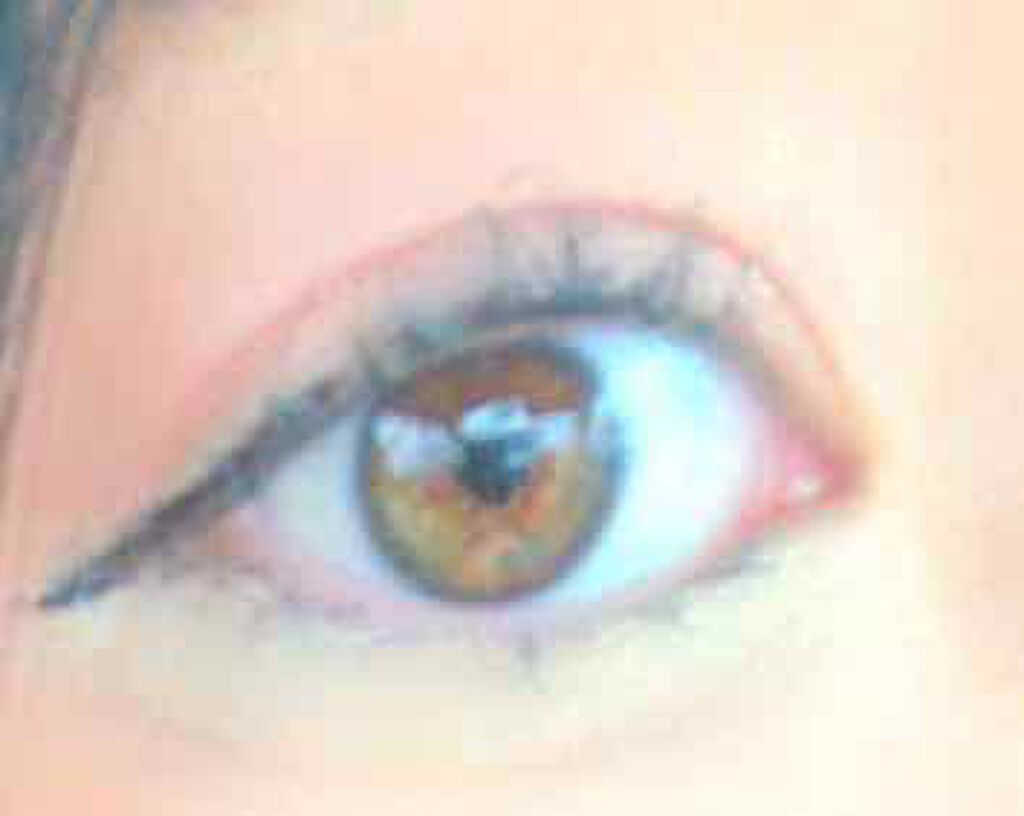 カンコレ リキッドアイライナー/DAISO/リキッドアイライナーを使ったクチコミ（1枚目）