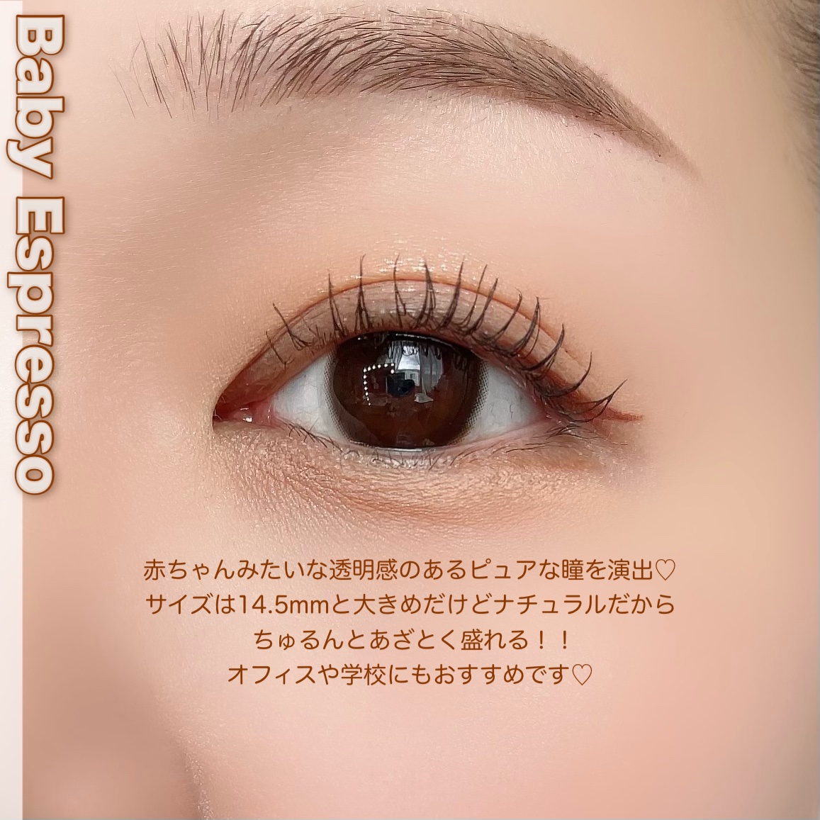 TOPARDS 1month ベイビーエスプレッソ/TOPARDS/１ヶ月（１MONTH）カラコンを使ったクチコミ（2枚目）