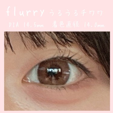 Flurry by colors 1day モカダークブラウン(うるうるチワワ)/Flurry by colors/ワンデー（１DAY）カラコンの画像