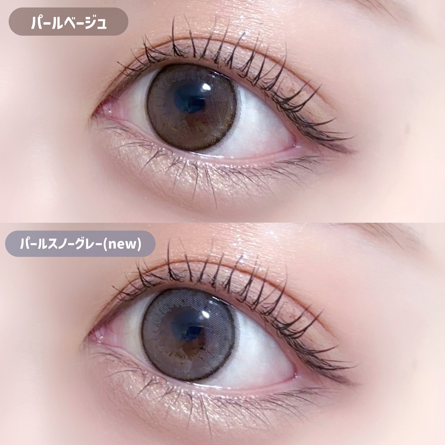 エバーカラーワンデー ナチュラル パールスノーグレー/エバーカラー/ワンデー（１DAY）カラコンを使ったクチコミ（3枚目）