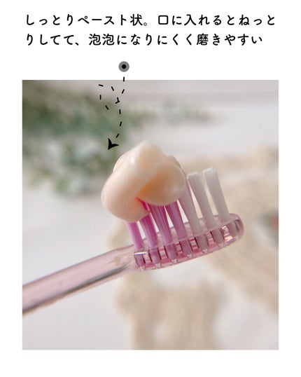 ピュオーラ36500 薬用ハグキ高密着クリームハミガキ/ピュオーラ/歯磨き粉を使ったクチコミ(5枚目)