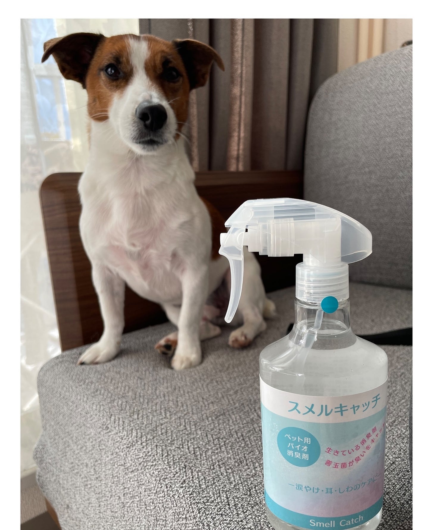 KYC★フォロバ120% on LIPS 「ペット用バイオ消臭剤【スルメキャッチ】@SOKENKAZARI..」(4枚目)