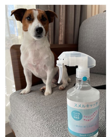 KYC★フォロバ120% on LIPS 「ペット用バイオ消臭剤【スルメキャッチ】@SOKENKAZARI..」(4枚目)