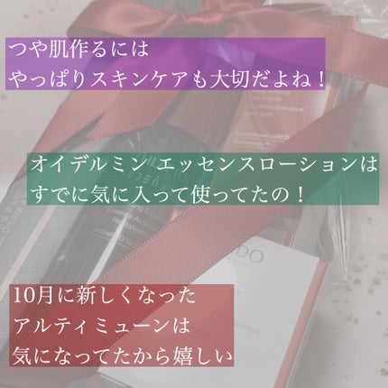 HANEN FUDE アイ シェーディング ブラシ/SHISEIDO/メイクブラシを使ったクチコミ(6枚目)