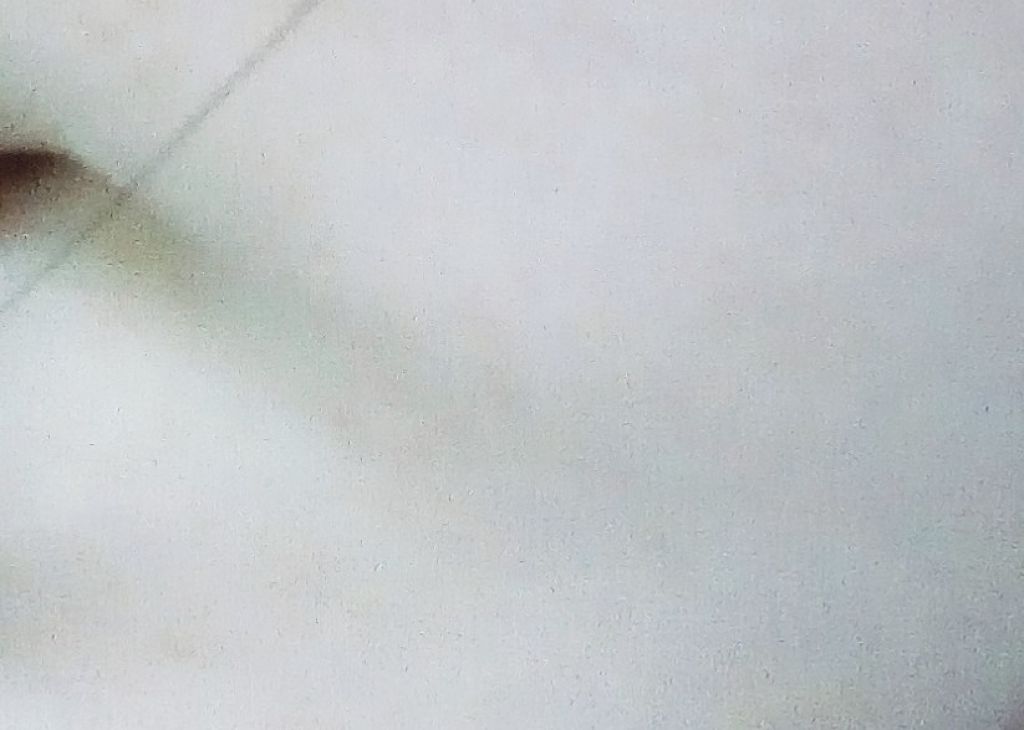 菊正宗 日本酒の化粧水 高保湿/菊正宗/化粧水を使ったクチコミ（1枚目）