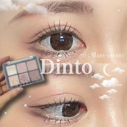ブラーフィニシュシャドウパレット/Dinto/アイシャドウパレットを使ったクチコミ(1枚目)