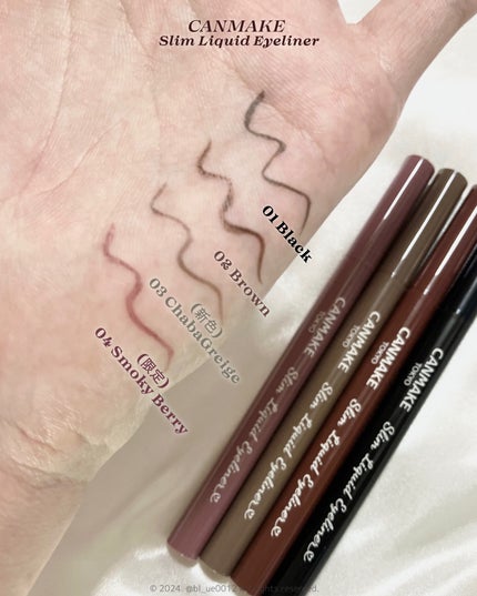 スリムリキッドアイライナー/キャンメイク/リキッドアイライナーを使ったクチコミ(4枚目)