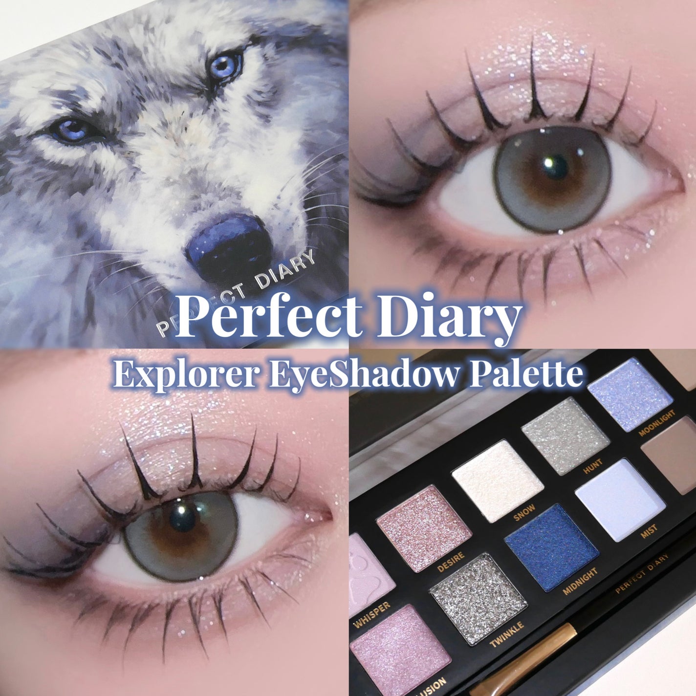 エクスプローラ12色 動物アイシャドウパレット/PERFECT DIARY/アイシャドウパレットを使ったクチコミ(1枚目)