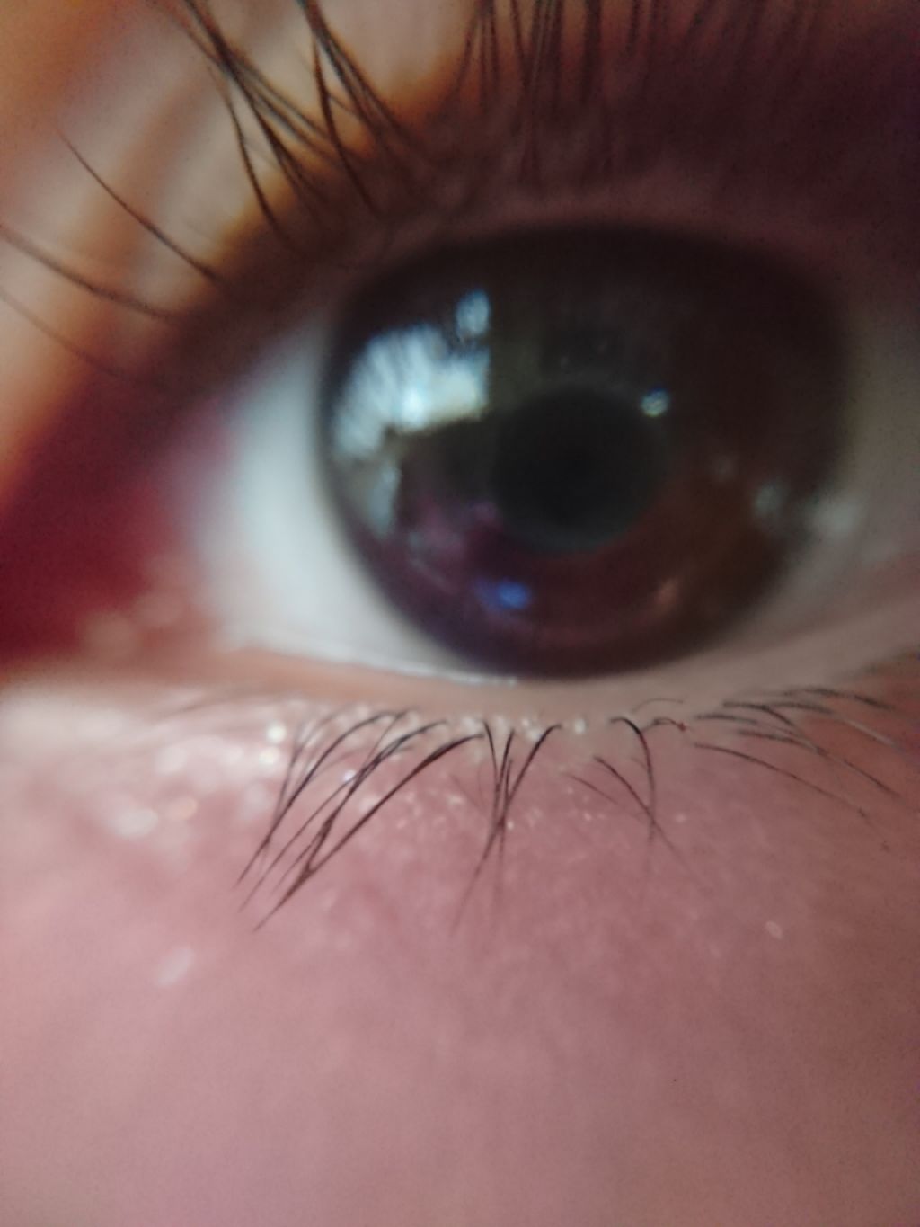 マクロレンズ/セリア/その他を使ったクチコミ(3枚目)