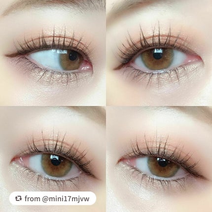 グロッシーリッチ アイズ N/Visée/アイシャドウパレットを使ったクチコミ(5枚目)