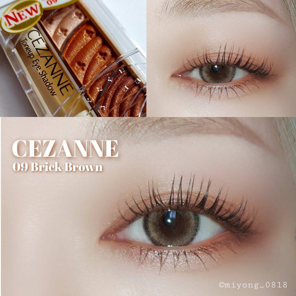 トーンアップアイシャドウ 09 ブリックブラウン/CEZANNE/アイシャドウパレットを使ったクチコミ（1枚目）