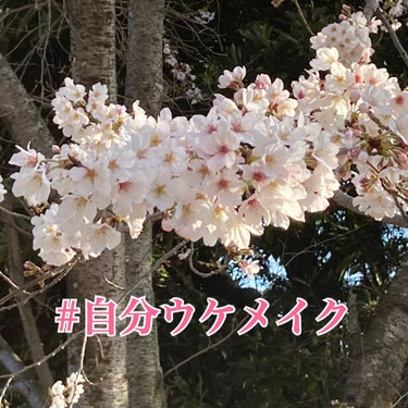 試してみた】シルクパウダー/自然化粧品研究所のリアルな口コミ ...