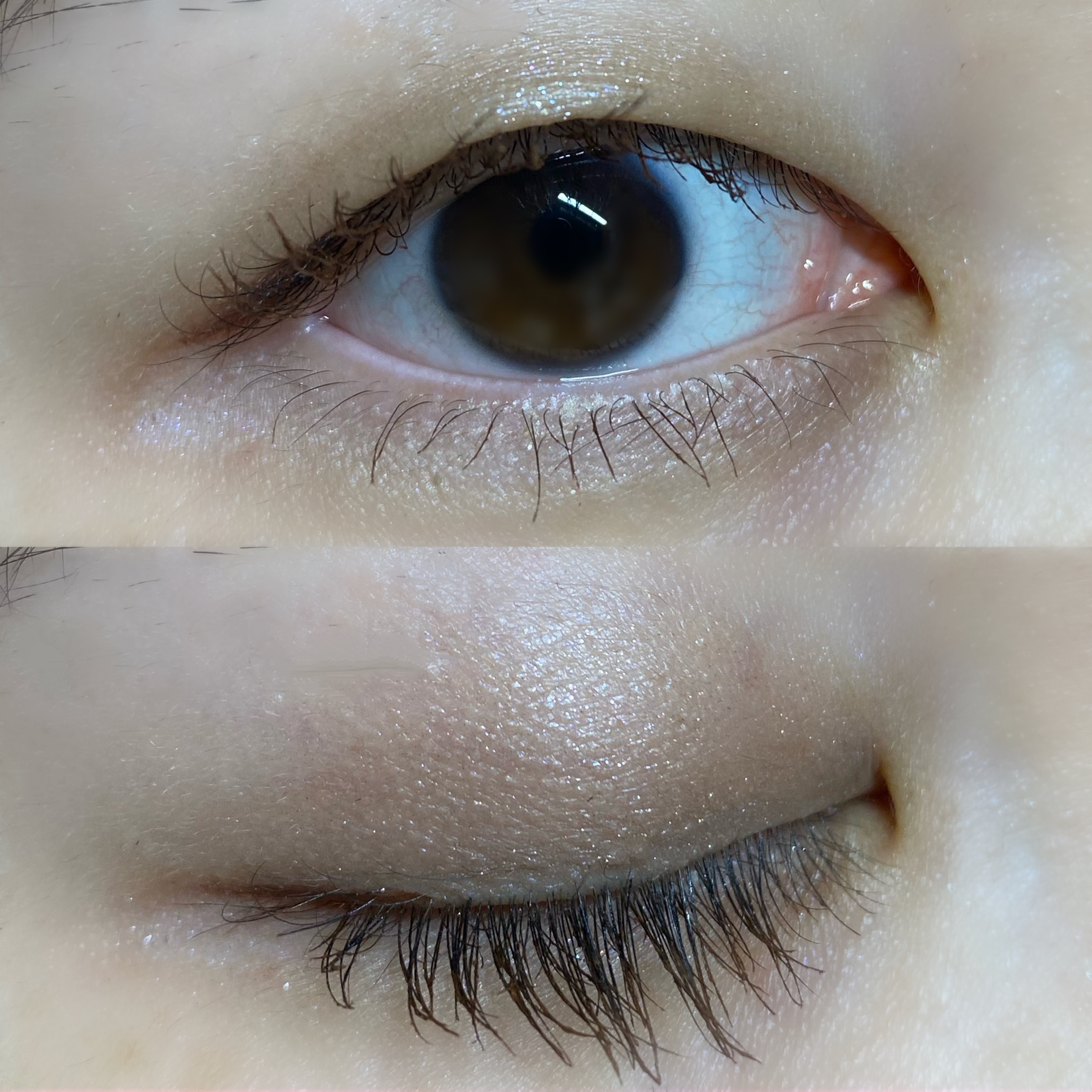 ドラマティックスタイリングアイズ/マキアージュ/アイシャドウパレットを使ったクチコミ（1枚目）