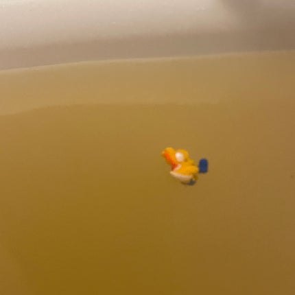 金木犀の香り/爆汗湯/炭酸系入浴剤を使ったクチコミ(2枚目)