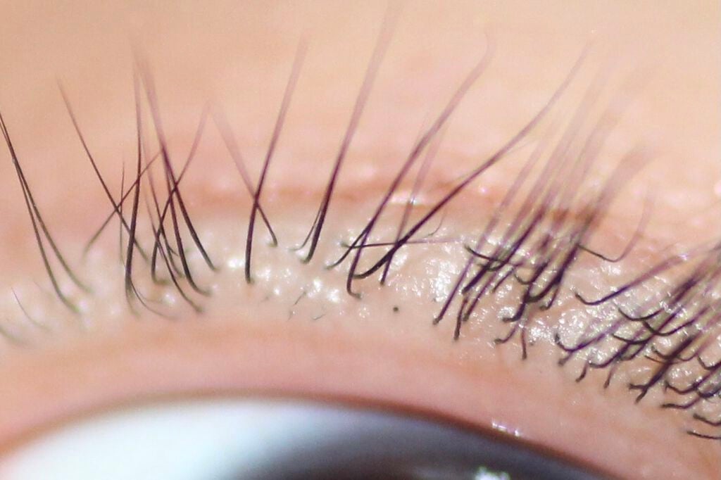 rre on LIPS 「まつ毛を育成したい!!!8日目!!!(目の画像あり⚠️)産毛!..」(3枚目)