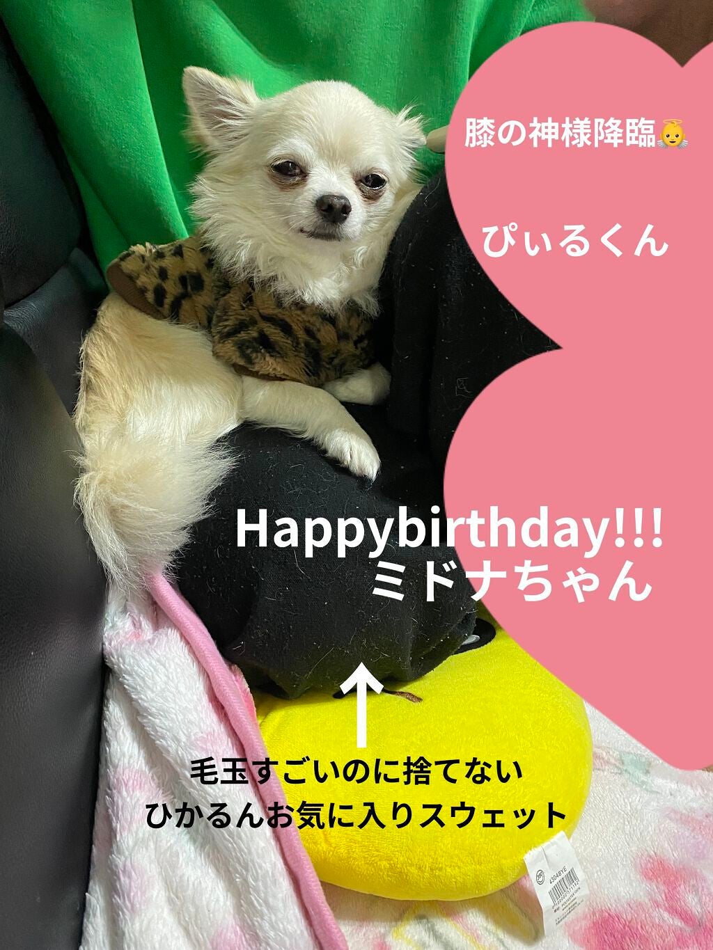 カラフルネイルズ/キャンメイク/マニキュアを使ったクチコミ(7枚目)