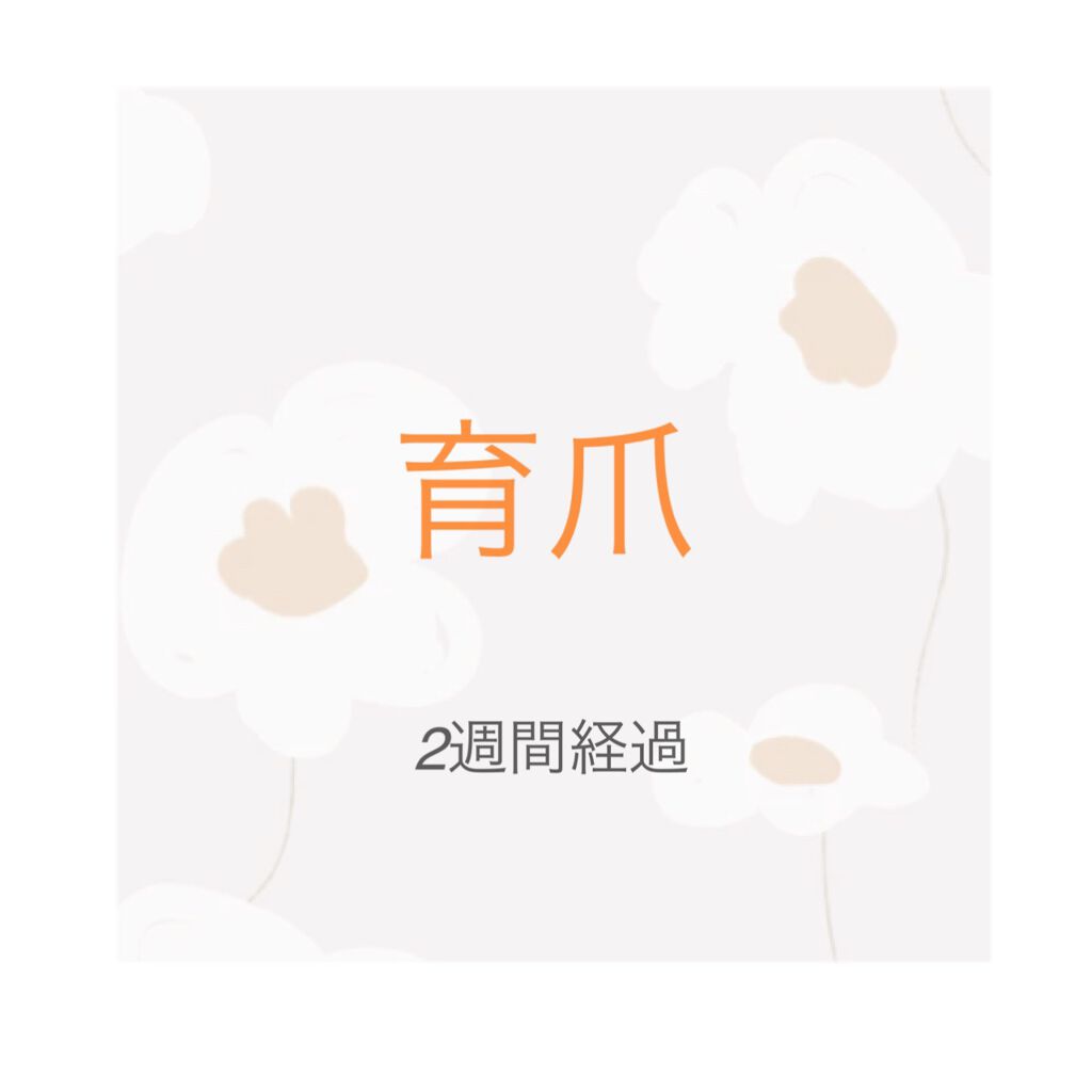 エテュセ クイックケアコート/ettusais/ネイルオイル・トリートメントを使ったクチコミ（1枚目）