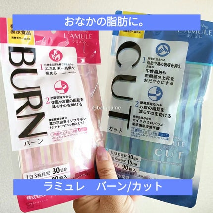 ラミュレ バーン/日本薬健/ボディサプリメントを使ったクチコミ(1枚目)