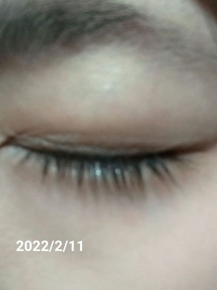 ウォータリング アイラッシュセラム/ヒロインメイク/まつげ美容液を使ったクチコミ(6枚目)