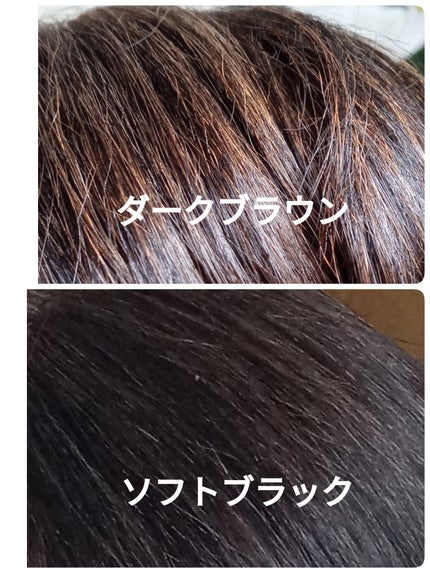 週に一度の白髪染めトリートメント/DAISO/ヘアカラーを使ったクチコミ(4枚目)