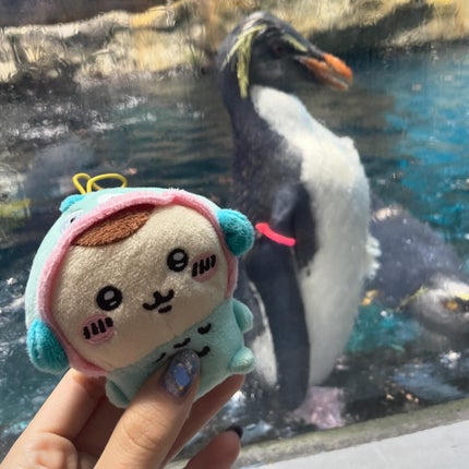 GELiSM (ジェリズム)/D-UP/ジェルネイルを使ったクチコミ(6枚目)