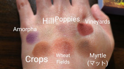 油絵紫穂麦畑20色アイシャドウ/JUDYDOLL/アイシャドウパレットを使ったクチコミ(4枚目)