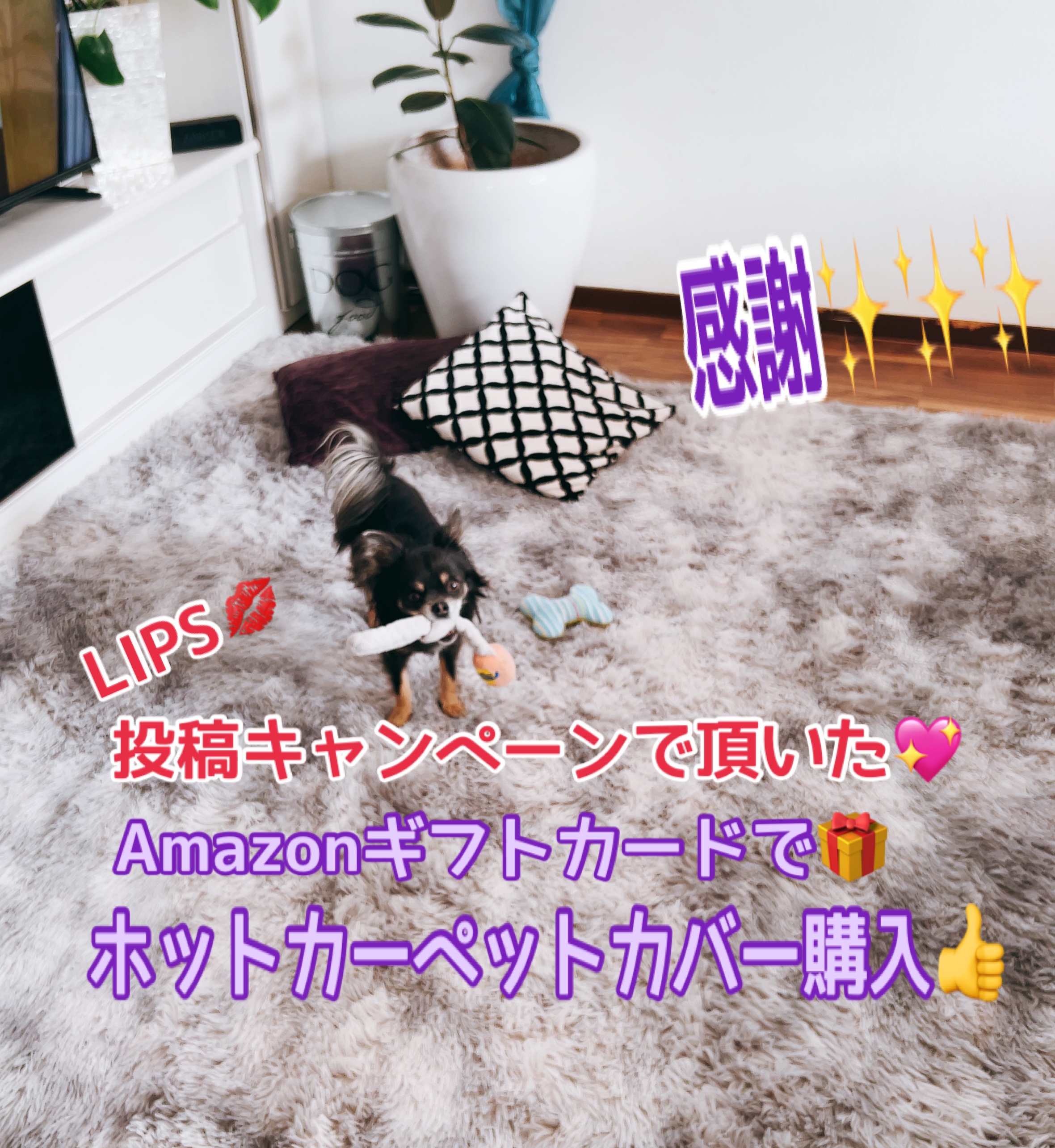 を使ったクチコミ（1枚目）