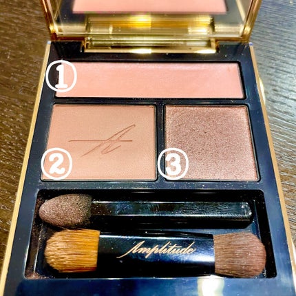 コンスピキュアス アイズ/Amplitude/アイシャドウパレットを使ったクチコミ(2枚目)