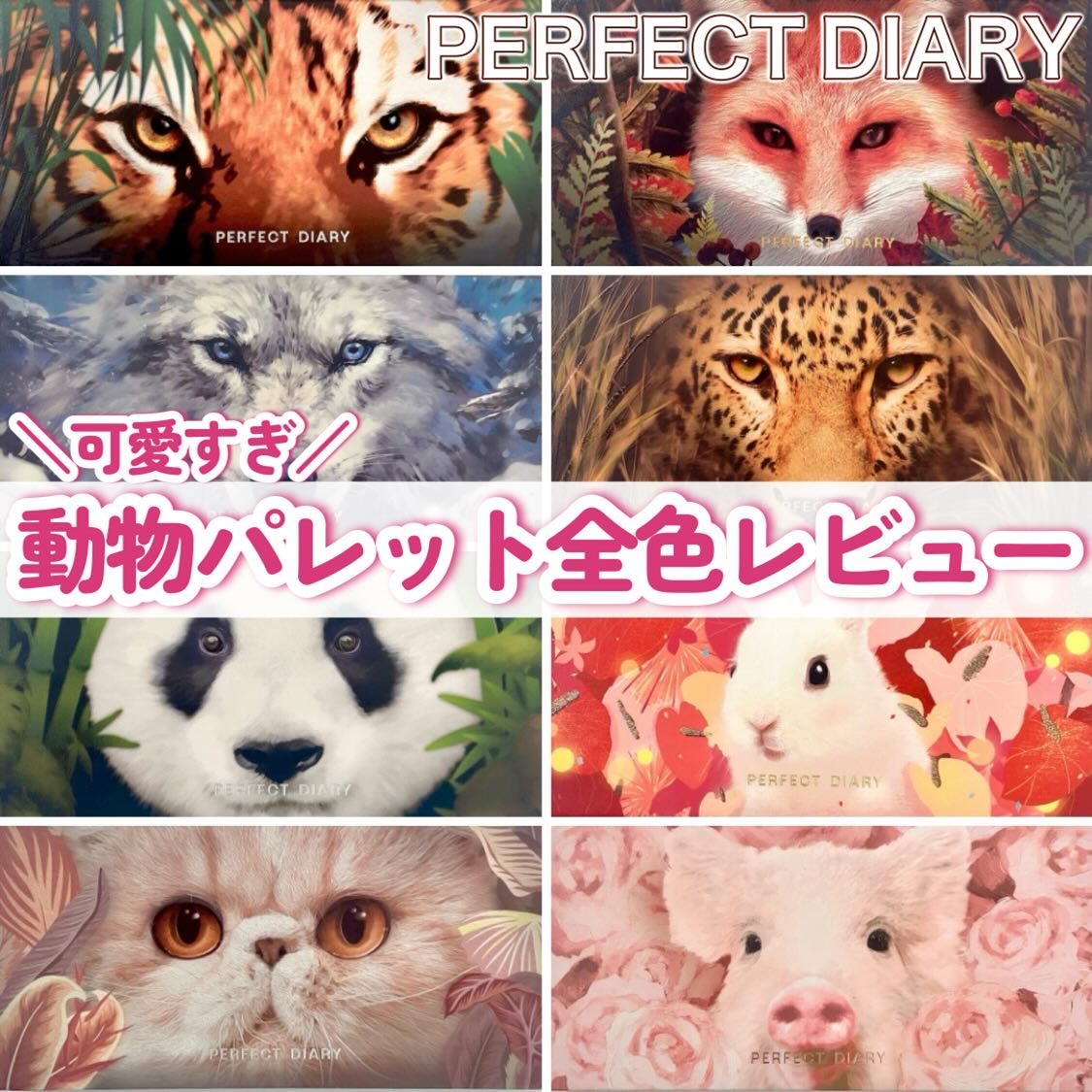 エクスプローラ12色 動物アイシャドウパレット/PERFECT DIARY/アイシャドウパレットを使ったクチコミ（1枚目）