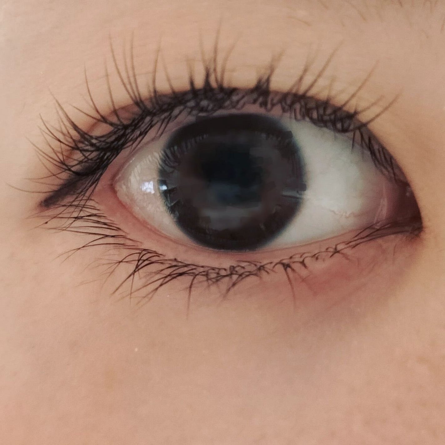 アイラッシュグルー/ミッシュブルーミン/つけまつげを使ったクチコミ(5枚目)