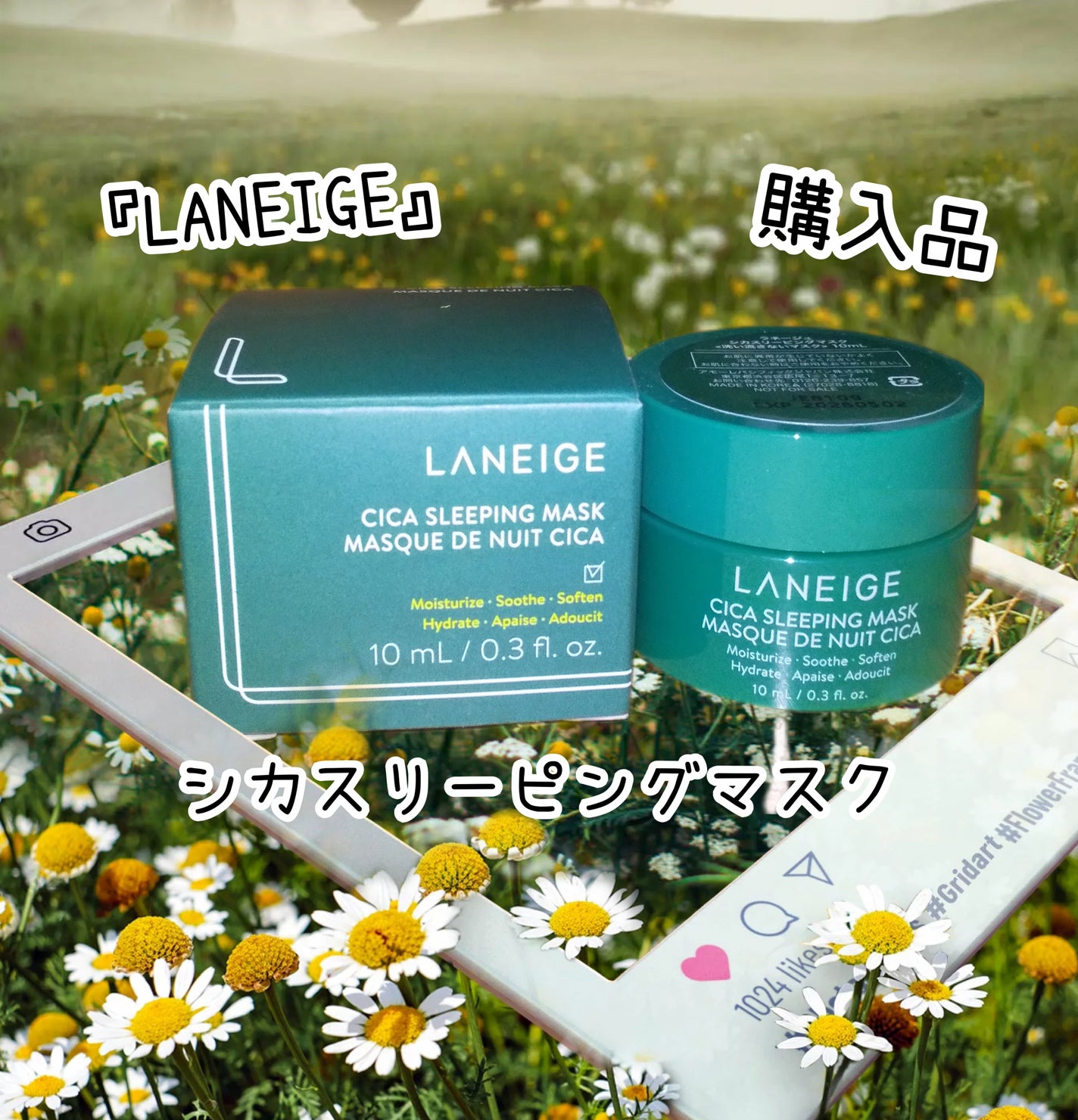 シカスリーピングマスク/LANEIGE/フェイスクリームを使ったクチコミ(1枚目)