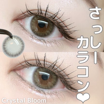 TOPARDS 1day/TOPARDS/ワンデー(1DAY)カラコンを使ったクチコミ(1枚目)