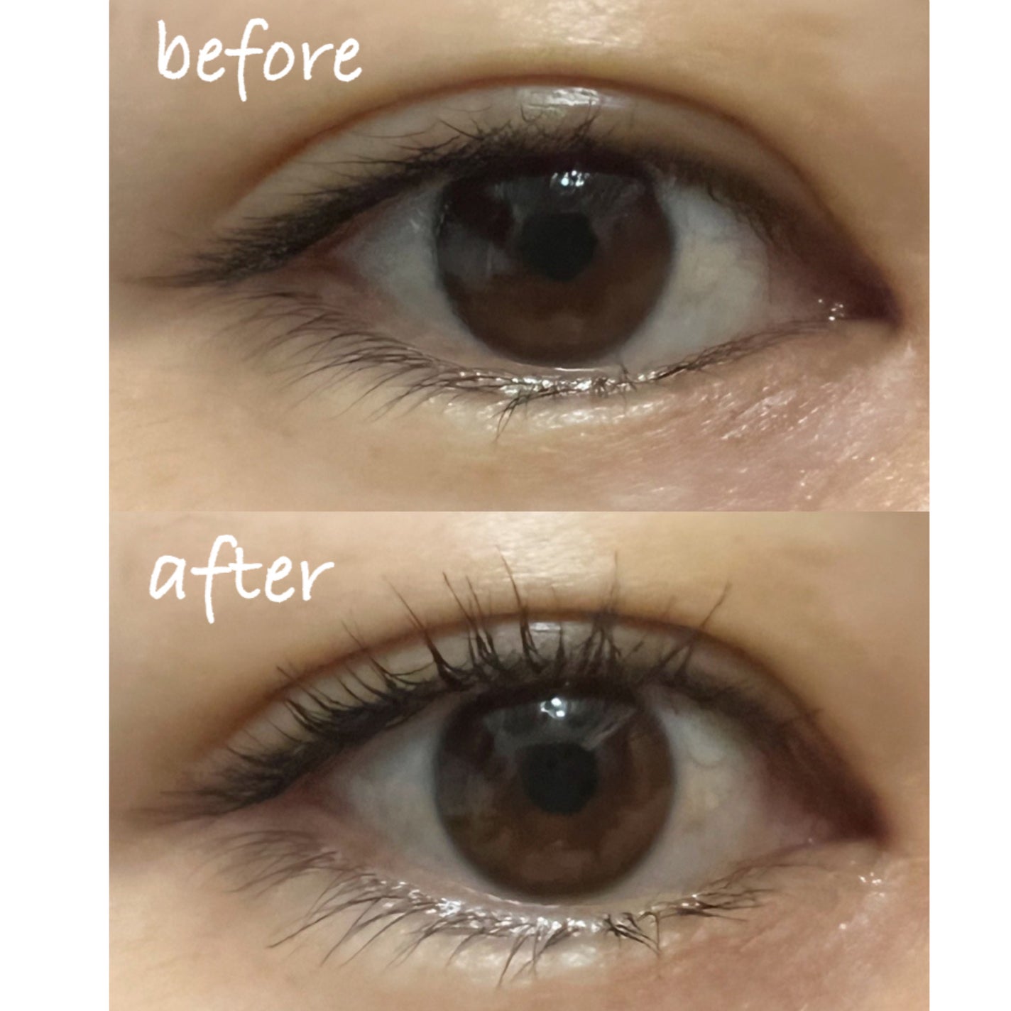 ラッシュニスタ プライマー/MAYBELLINE NEW YORK/マスカラ下地を使ったクチコミ(3枚目)