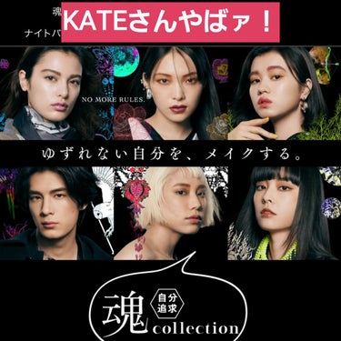 KATE 魂コレクション ブラウンレイヤーパレット/KATE/パウダーアイシャドウを使ったクチコミ（1枚目）