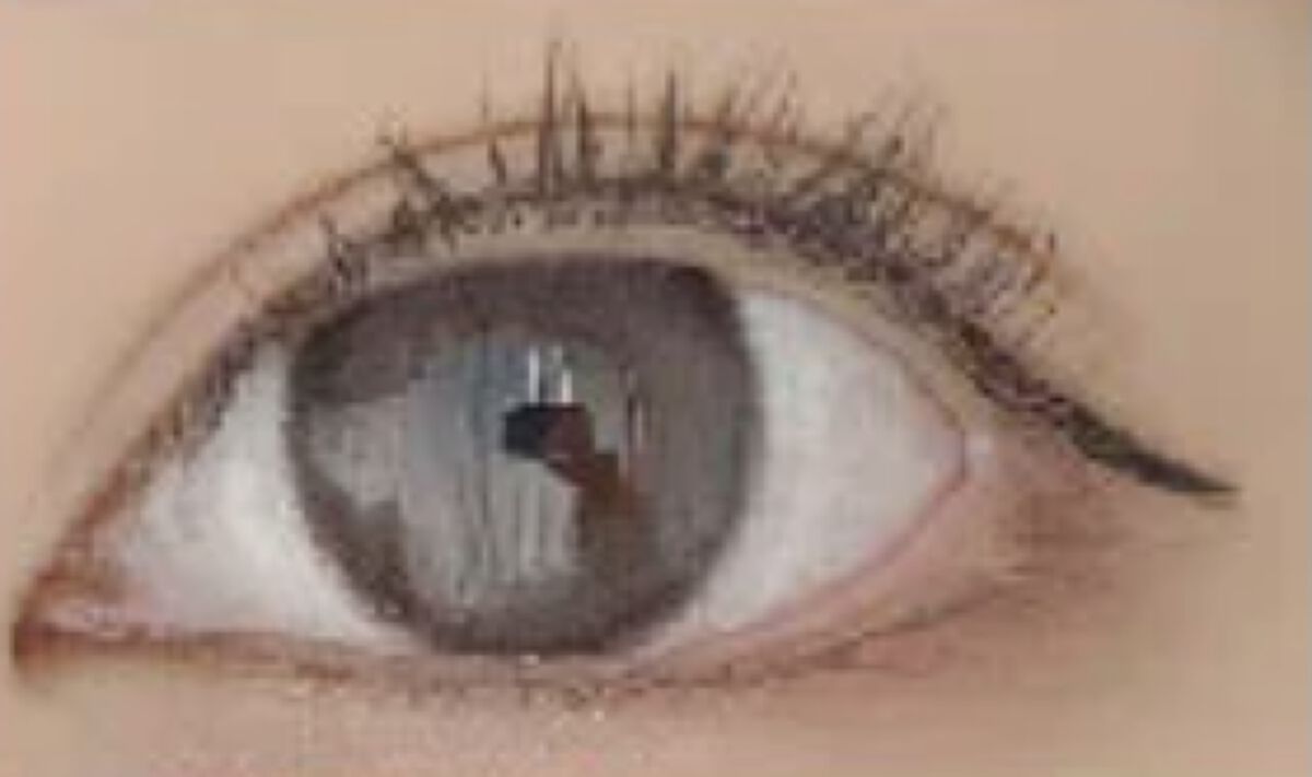 Little Honeypsマンスリー ＃メルティブラウン