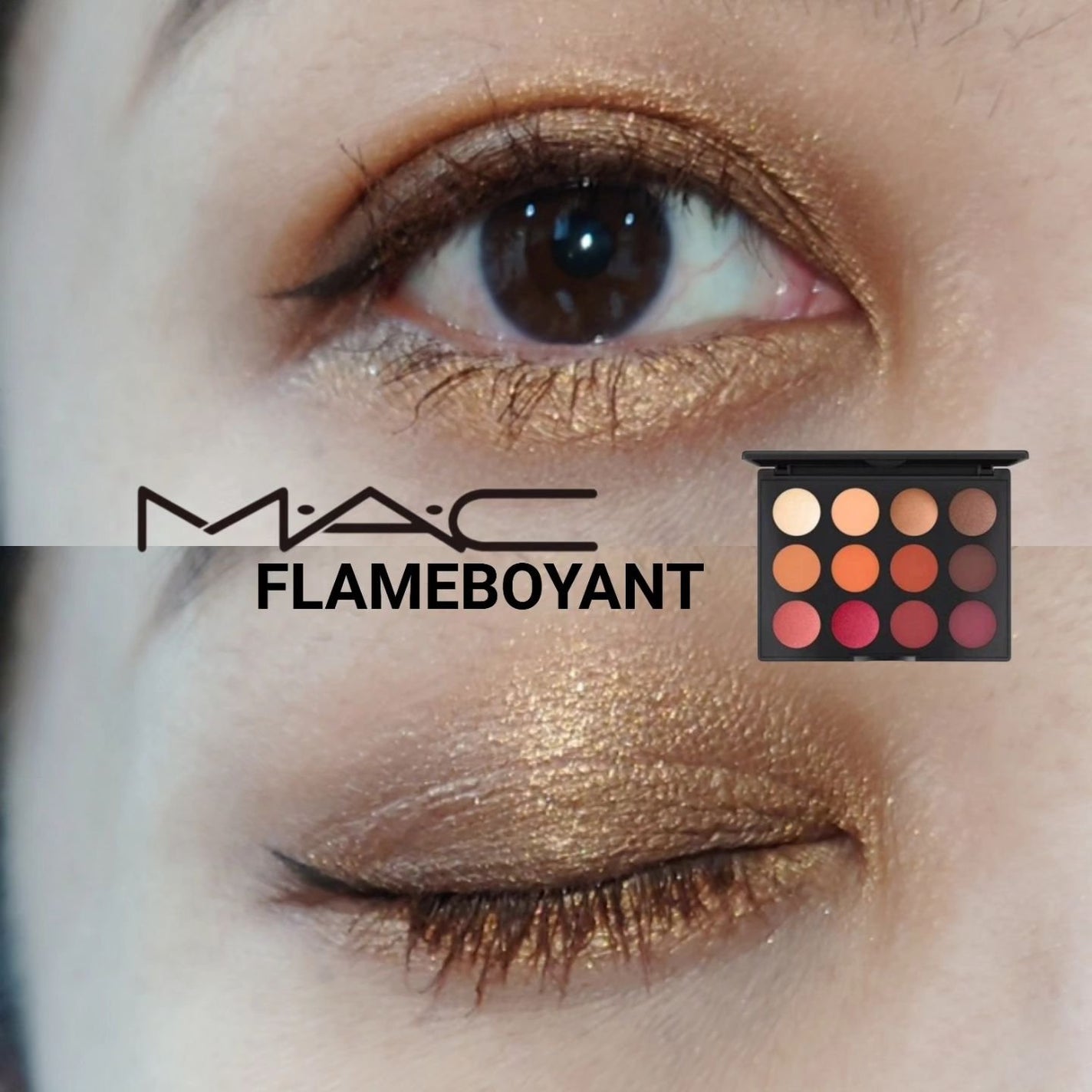 アート ライブラリー/M・A・C/アイシャドウパレットを使ったクチコミ(1枚目)