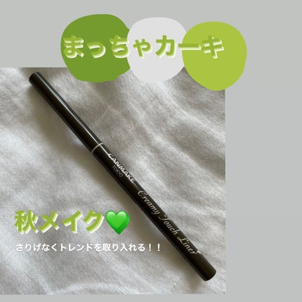 クリーミータッチライナー/キャンメイク/ジェルアイライナーを使ったクチコミ(1枚目)