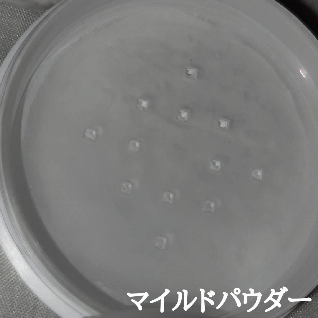 CICA ノーセバム マイルドパウダー/VT/ルースパウダーを使ったクチコミ（3枚目）