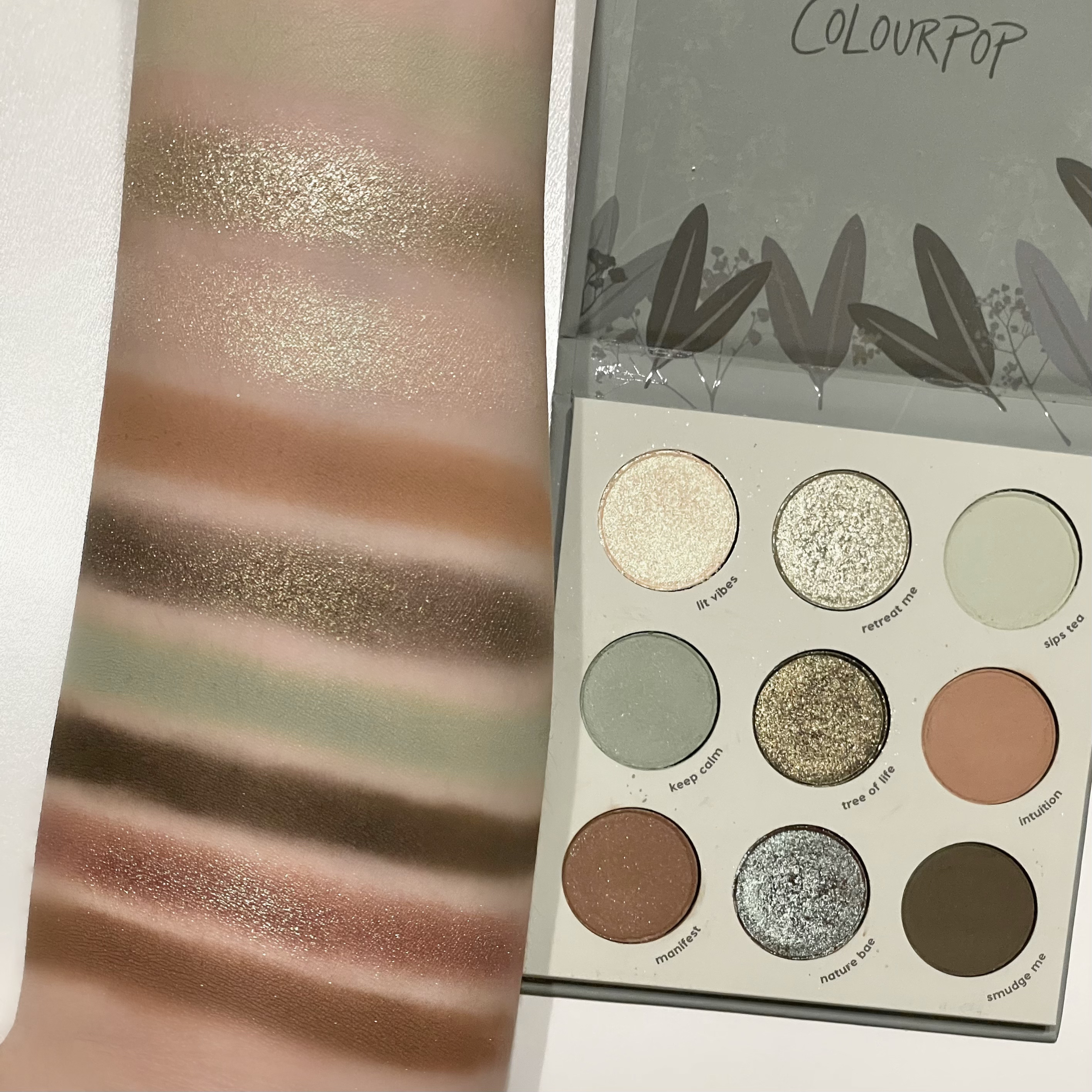 sage the day palette/ColourPop/アイシャドウパレットを使ったクチコミ（1枚目）